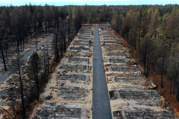 Aerial view of Paradise, California after the fire showing the remains of dozens of burned-up homes surrounded by fire-damaged trees.